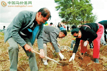 “欢乐土豆节” 土豆新玩法 ()