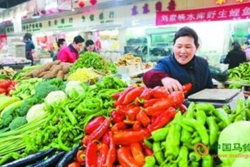 漳州市：暴雨影响 菜价上涨 ()