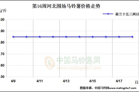 库薯交易扫尾 新薯量大价落 ()