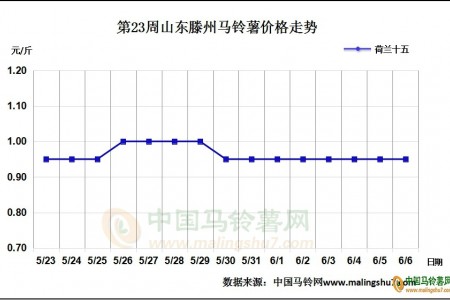 露天新薯即将登场 薯市将如何发展? ()