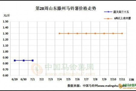 山东入库进入尾期 北方一作区新薯上市 ()