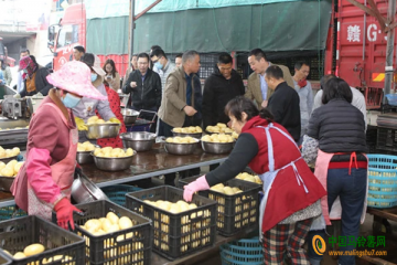 平潭：沙地马铃薯测产验收 ()